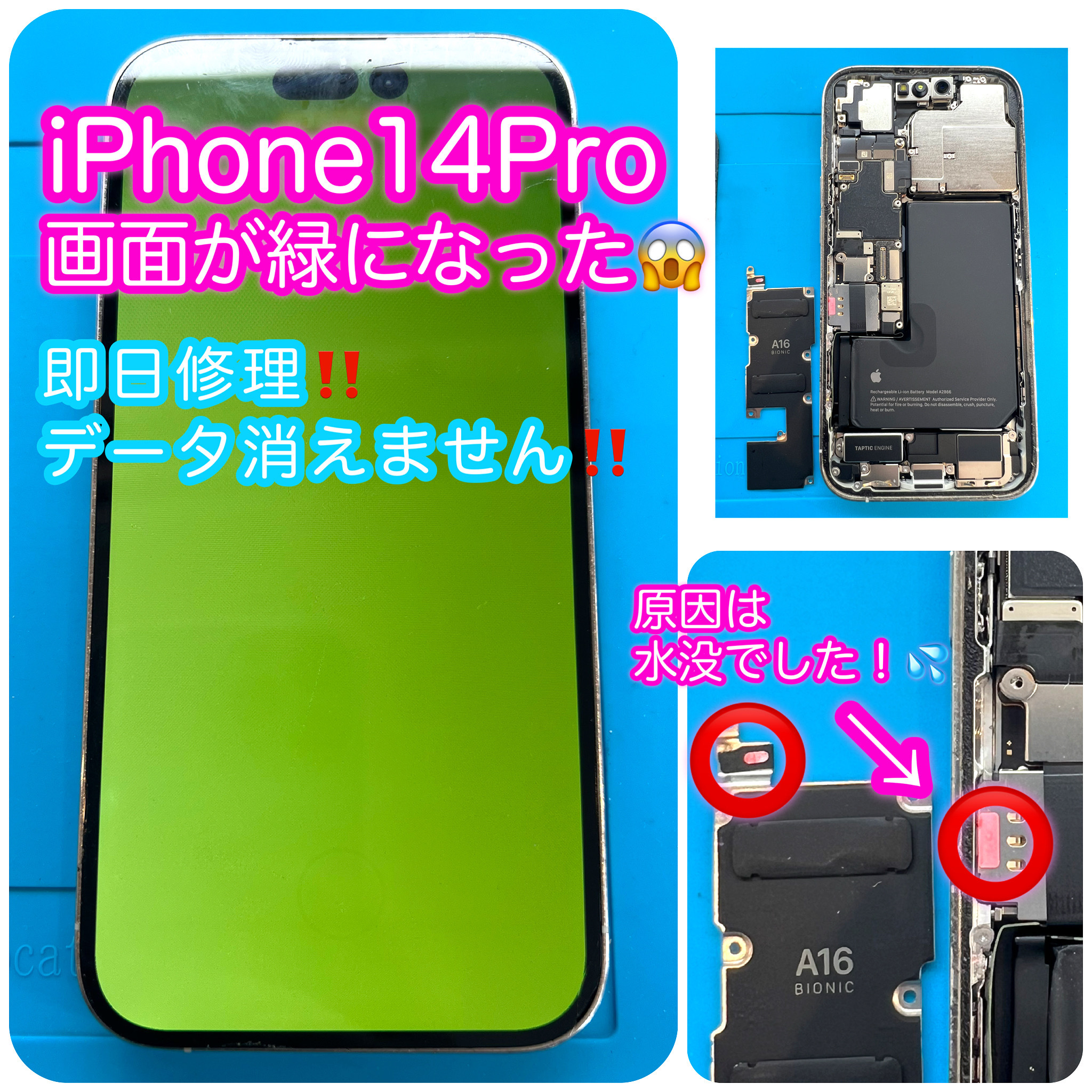 iphone14proが緑の画面で映らない